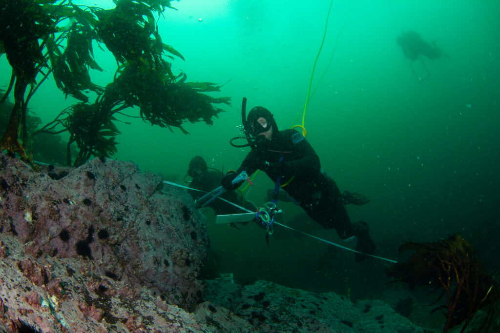 Mission Blue – Restauración y sostenibilidad en Humboldt