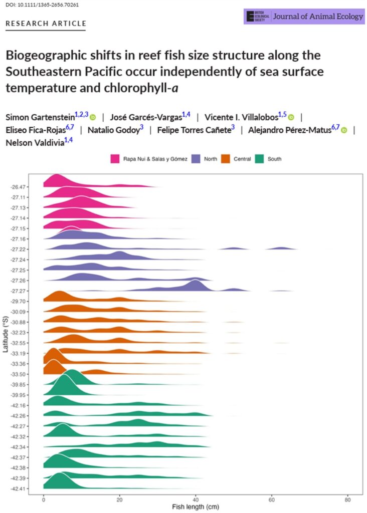 Biogeographic shifts in reef fish size structure along the Southeastern Pacific occur independently of sea surface temperature and chlorophyll‐a