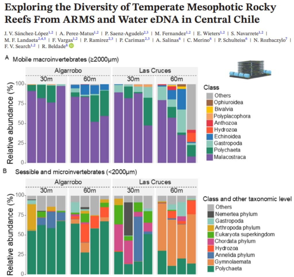 Exploring the Diversity of Temperate Mesophotic Rocky Reefs From ARMS and Water eDNA in Central Chile