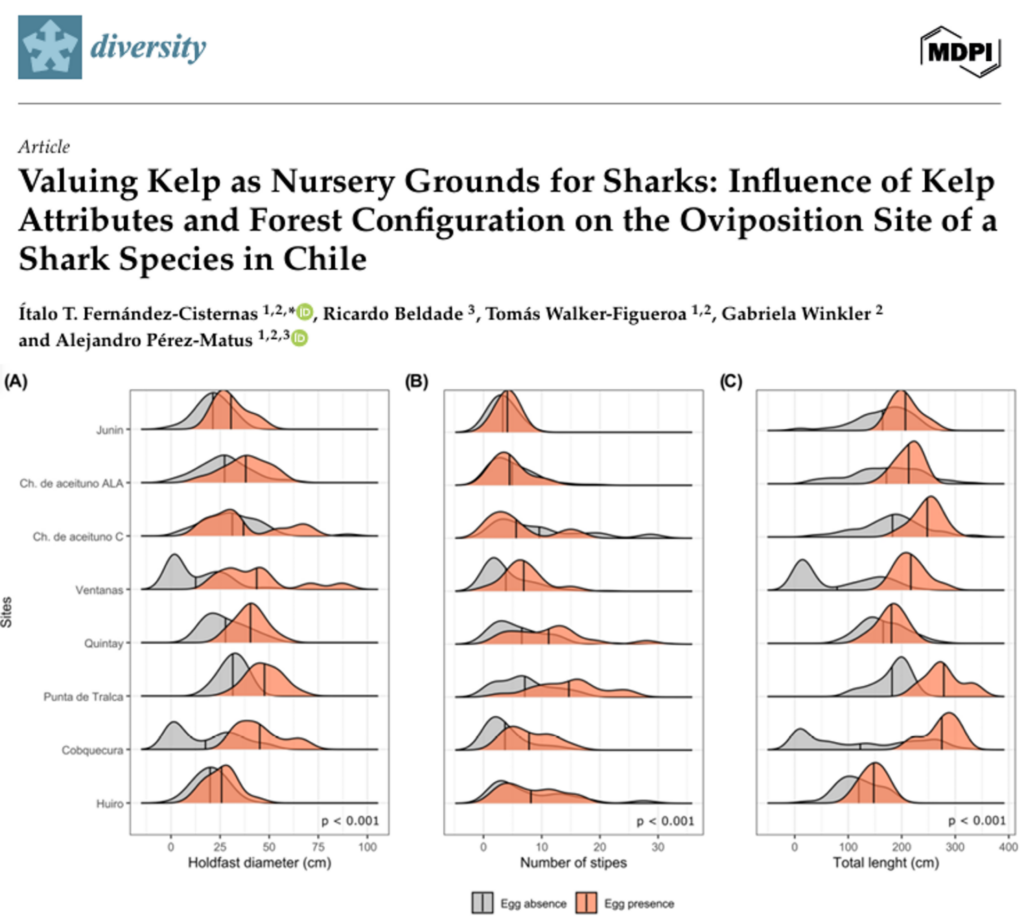 Valuing Kelp as Nursery Grounds for Sharks: Influence of Kelp Attributes and Forest Configuration on the Oviposition Site of a Shark Species in Chile